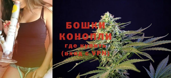 дурь Богданович
