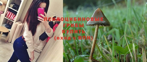 дурь Богданович