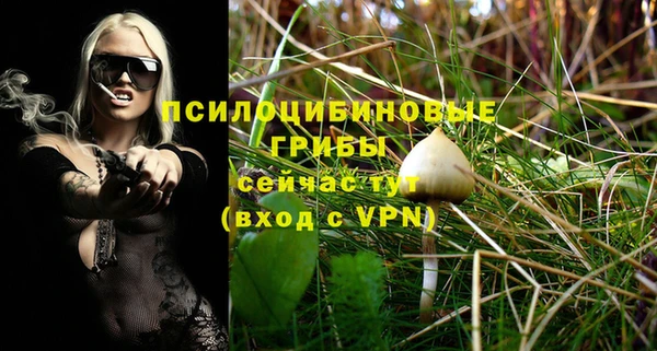 дурь Богданович