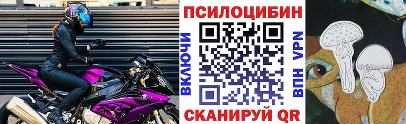 shop телеграм  Светлый  Псилоцибиновые грибы Psilocybe 